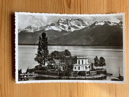 Ile de Salagnon - Lac Léman - AK 1960