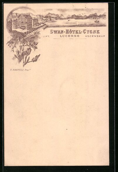 Cartes postales: Litho Luzern, Teilansicht mit Wasser, Be – D'occasion à Berlin par bartko-reher