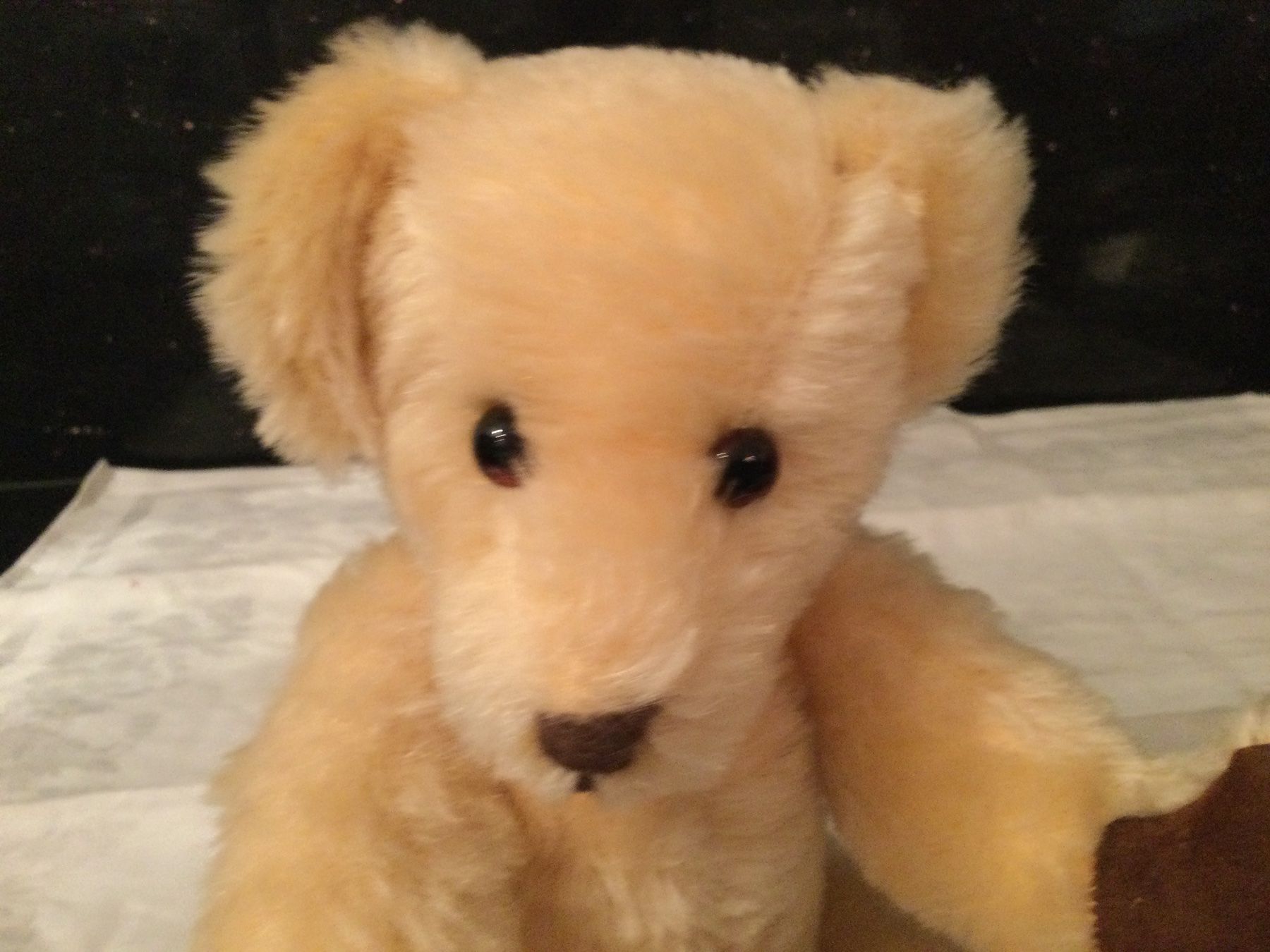 Giocattoli: Teddybären – Usato da Münchenbuchsee venduto da kruseli 1
