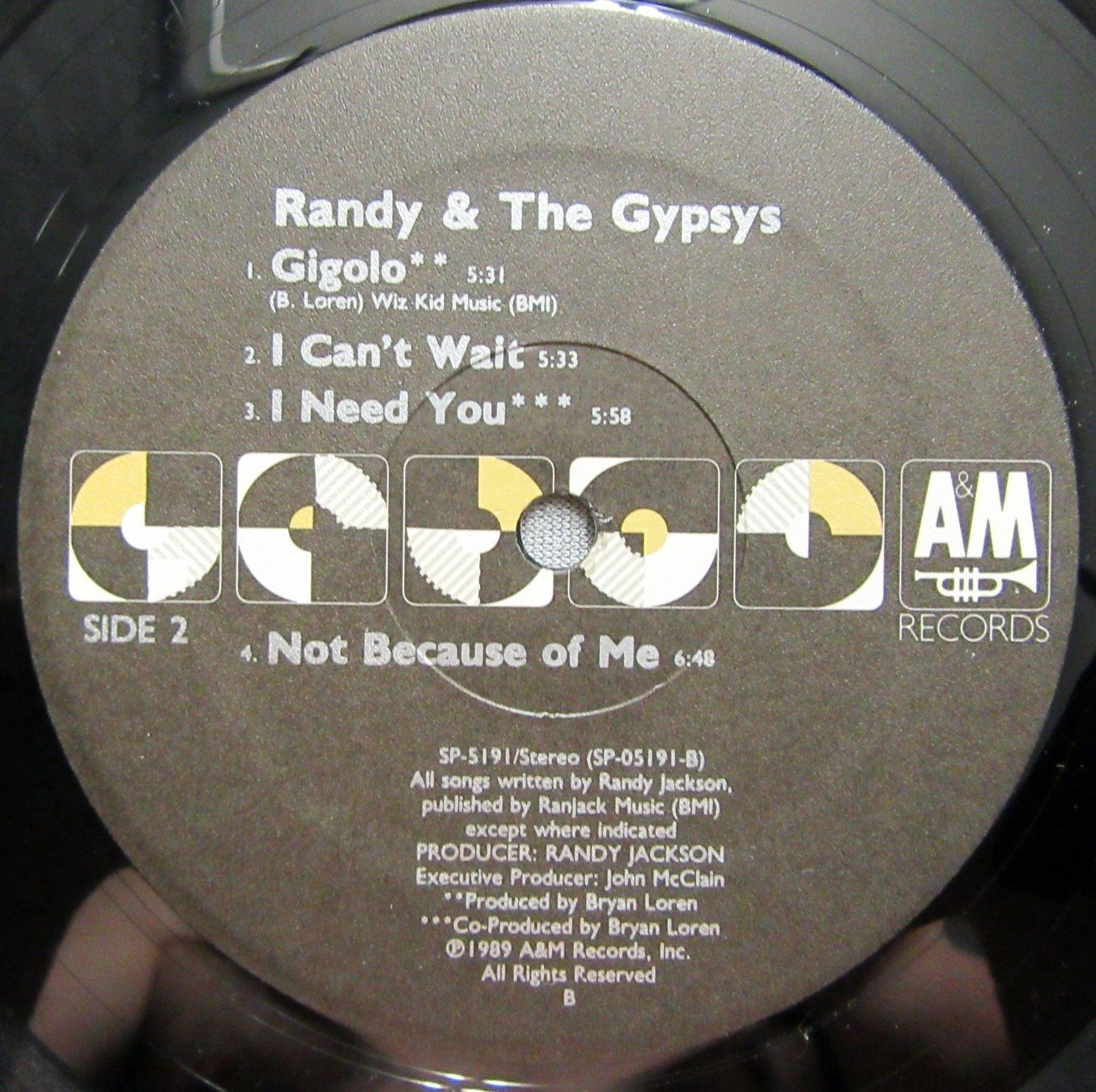 Dischi in vinile: Randy & The Gypsys - LP ab CHF 4.00 – Usato da Auenstein venduto da Padabimbim 2