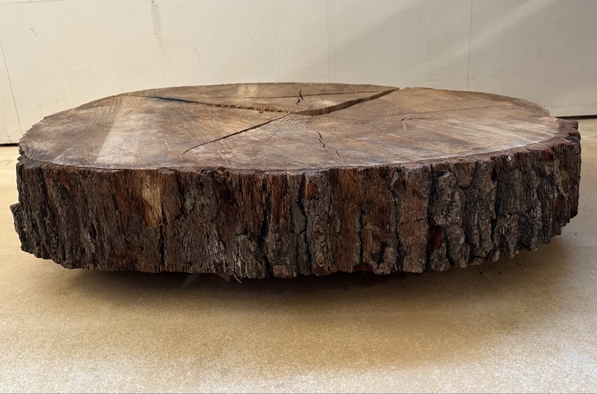 Articles en bois: Eichenscheibe, Baumscheibe, Massivholz, Eiche, Couchtisch – Neuf (Voir description) à Meggen par deanstreet 1