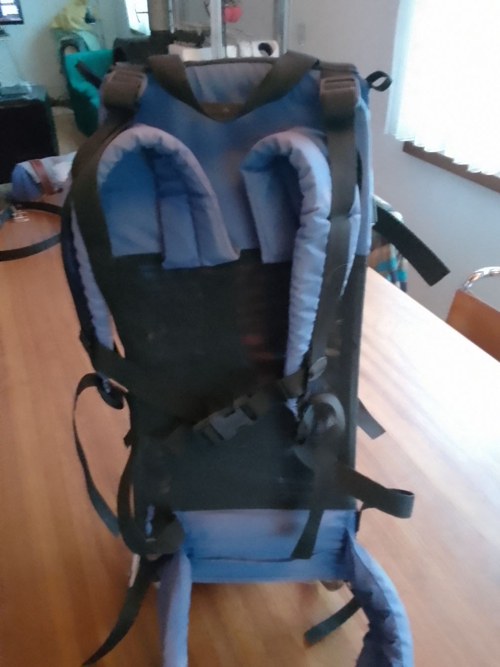 Kindertaschen: Kinder Trage Rucksack – Gebraucht aus Ebmatingen von swiss.canadian 2