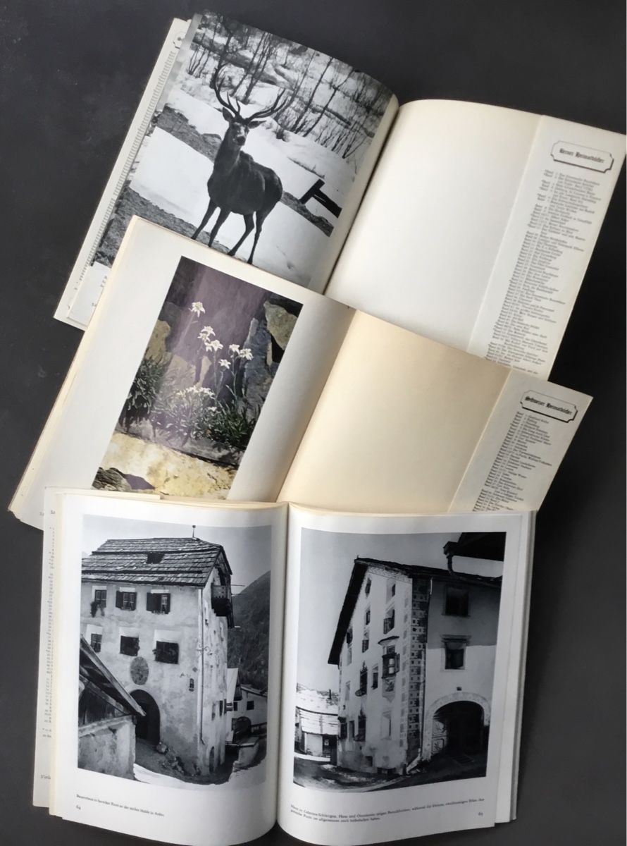Libri: Schweizer Heimatbücher | 3 Bände – Usato da Eggersriet venduto da Wiese61 1