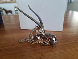 Swarovski Figur Gazelle Jabali  neu und Originalverpackt