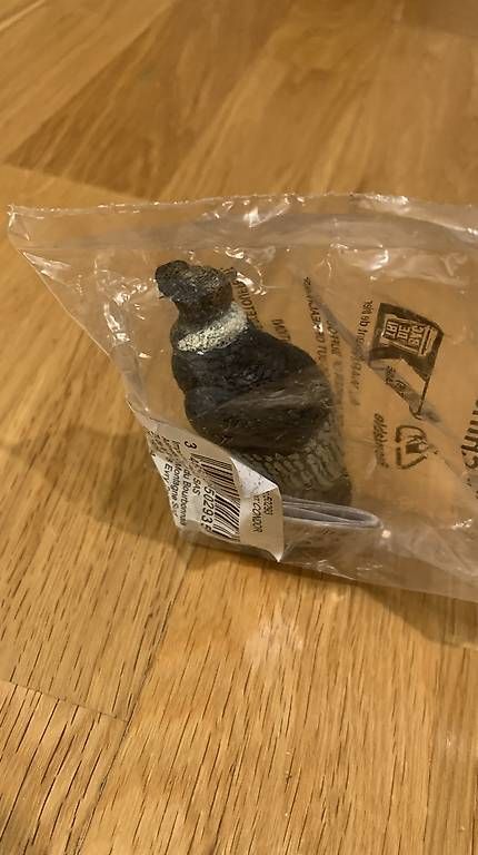 Figuren: Papo condor Spielzeug Figur – Gebraucht aus Wettingen von Taht1 3