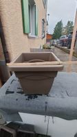 3er Set Topf, Pflanzentopf, eckig, Kunststoff, Braun