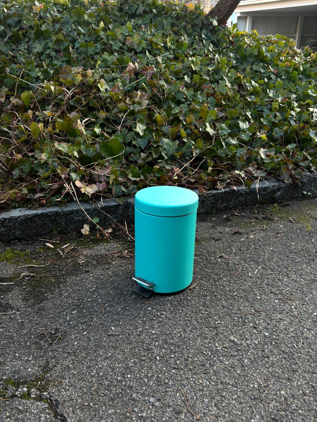 Cestini per rifiuti: Türkis gefärbter Abfall-Eimer mit Pedal. – Usato da Stäfa venduto da MazzaH