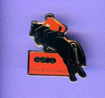 csio  ST.GALLEN