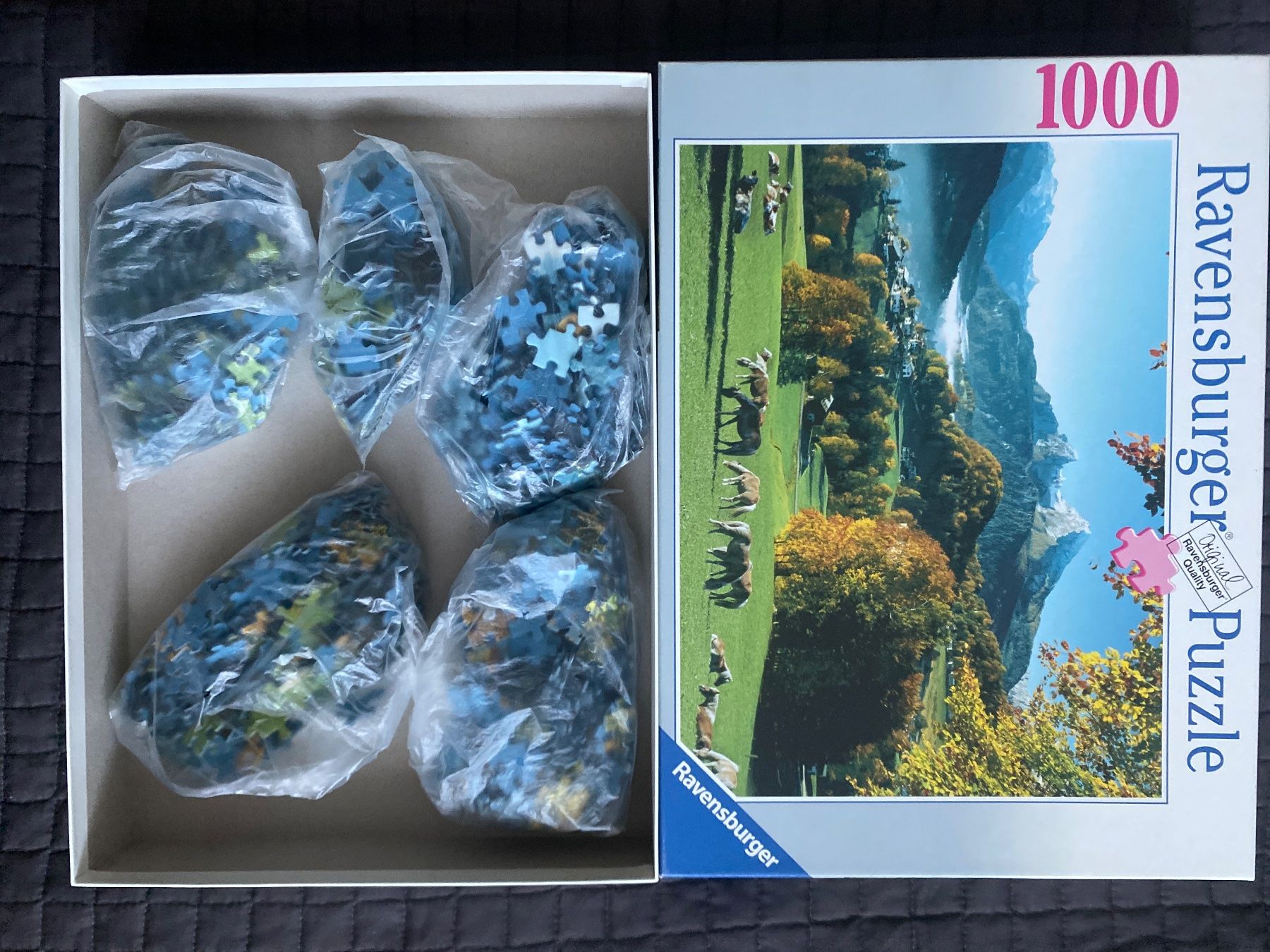 Ravensburger Puzzle: Puzzle Ravensburg – Usato da Geneve venduto da pat_p76n 2