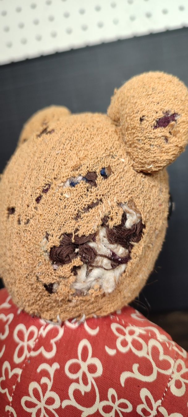 Giocattoli: Wunderschöner sehr alter Teddybär – Usato da Gelterkinden venduto da MYSTOREFORYOU4460 7