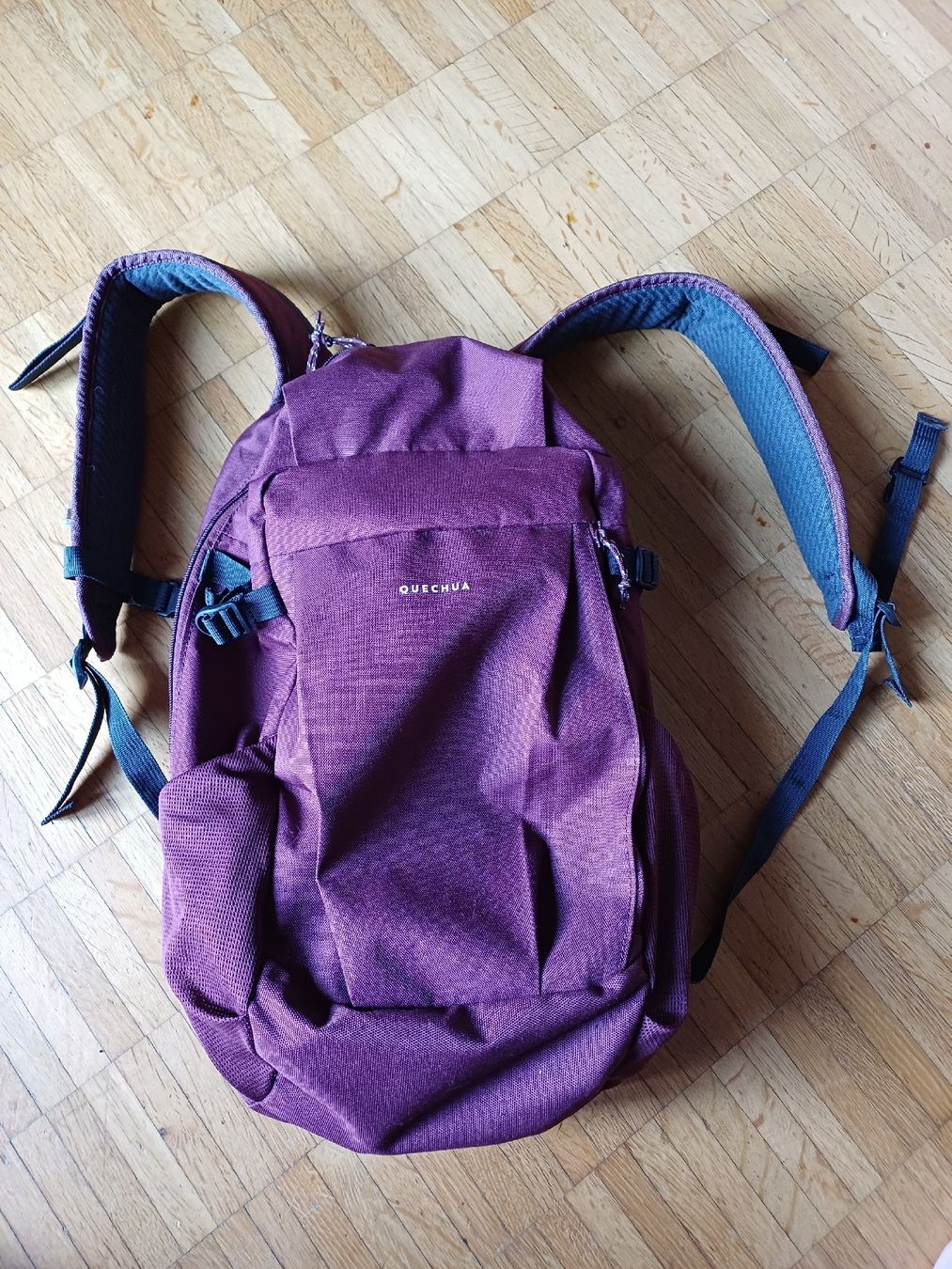 Decathlon Zaini: rucksack Quechua nh100 20l – Usato da Morbio Inferiore venduto da supermammuth