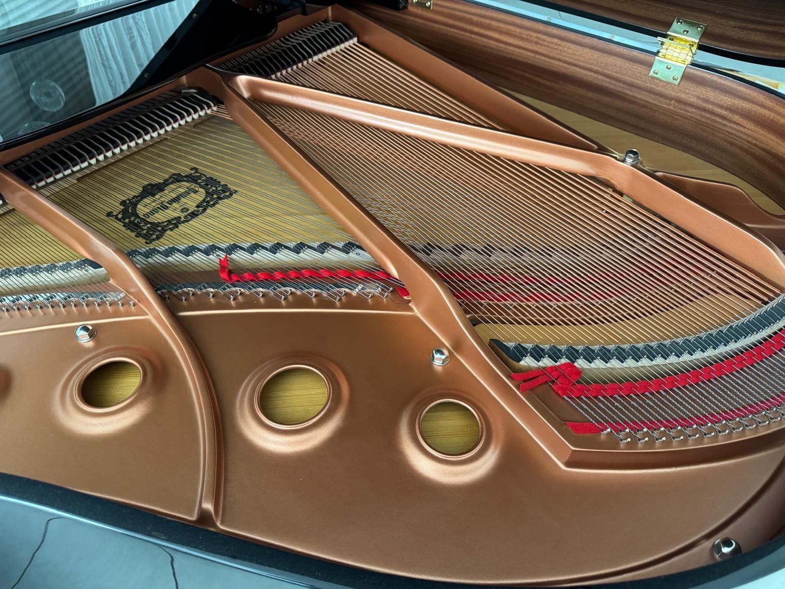 Yamaha Strumenti musicali: Flügel Yamaha GC1 TA PE – Usato da Breitenbach venduto da nic_w9gp 3