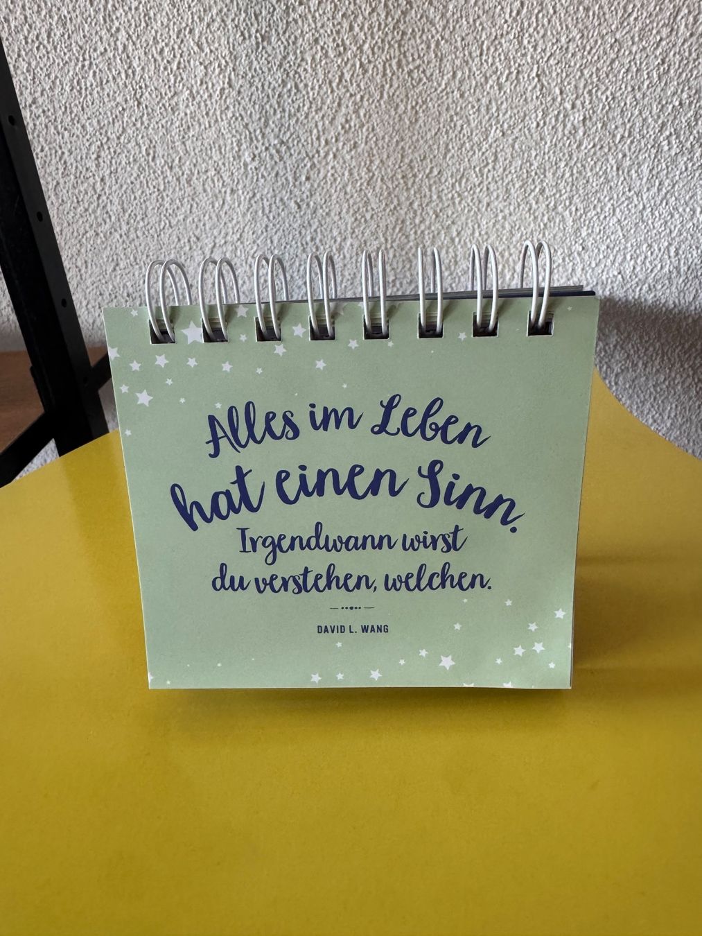 Calendari: Kalender Buch Schutzengel Geschenk – Usato da Steffisburg venduto da smocky17 3