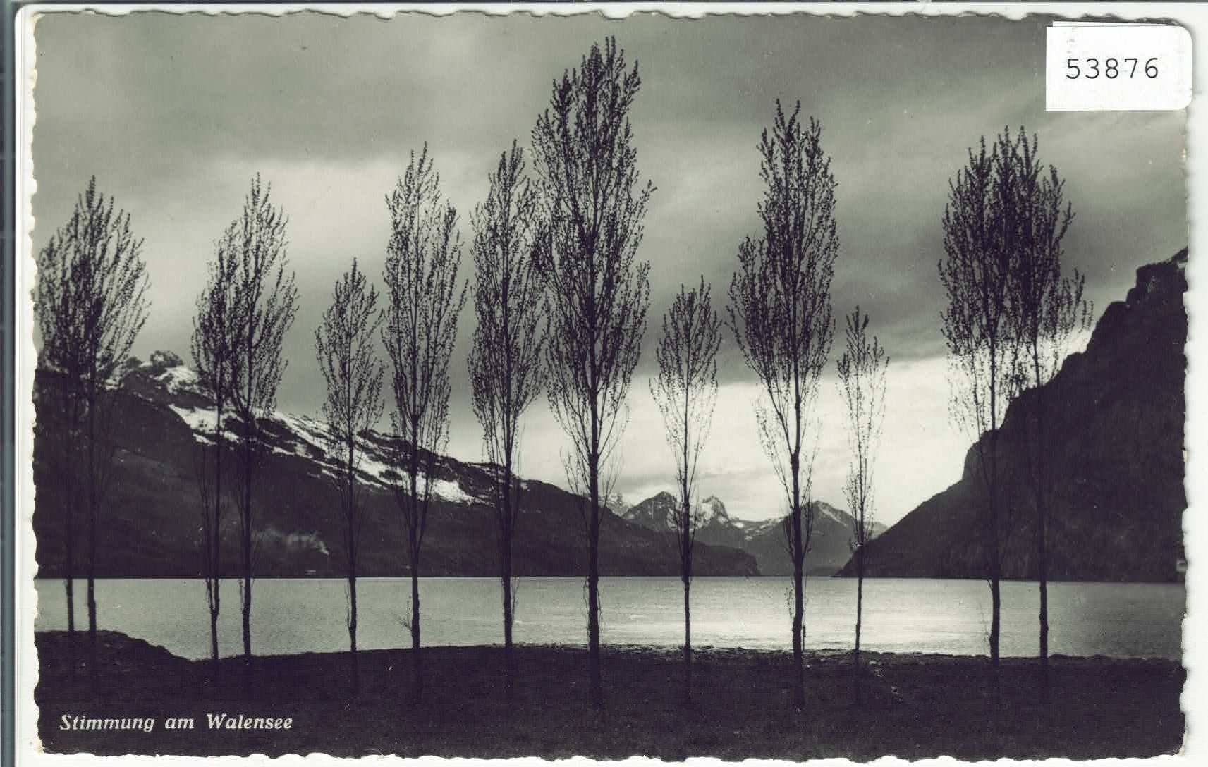 Cartoline postali: Stimmung am Walensee – Usato da Ettingen venduto da Kartenplanet