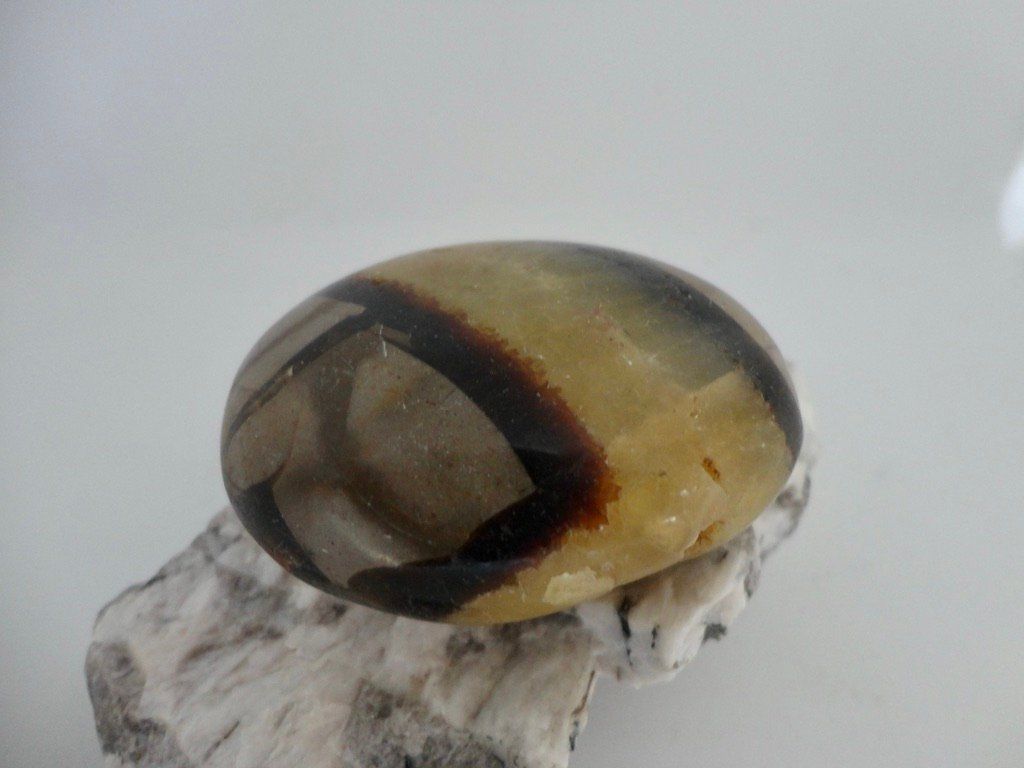 Mineralien & Heilsteine: Septarien Heilstein – Neu (gemäss Beschreibung) aus Biberist von Steine 1