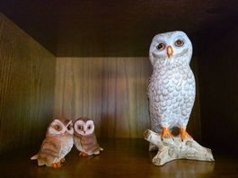 Lot de 3 statuettes de chouettes