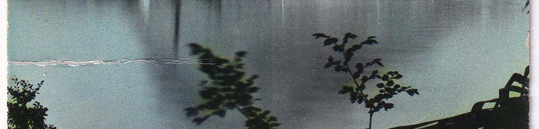 Cartes postales: Lago di Lugano e Monte S. Salvatore (défectueuse) – Défectueux à Cormoret par Pascalll2001 2