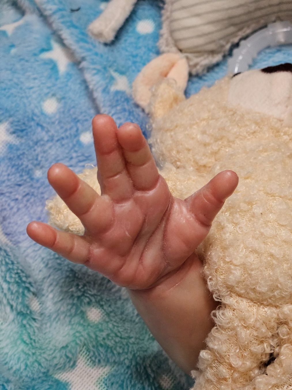 Reborn Puppen: Rebornbaby Jamo – Gebraucht aus Beringen von Sternschnappi 7