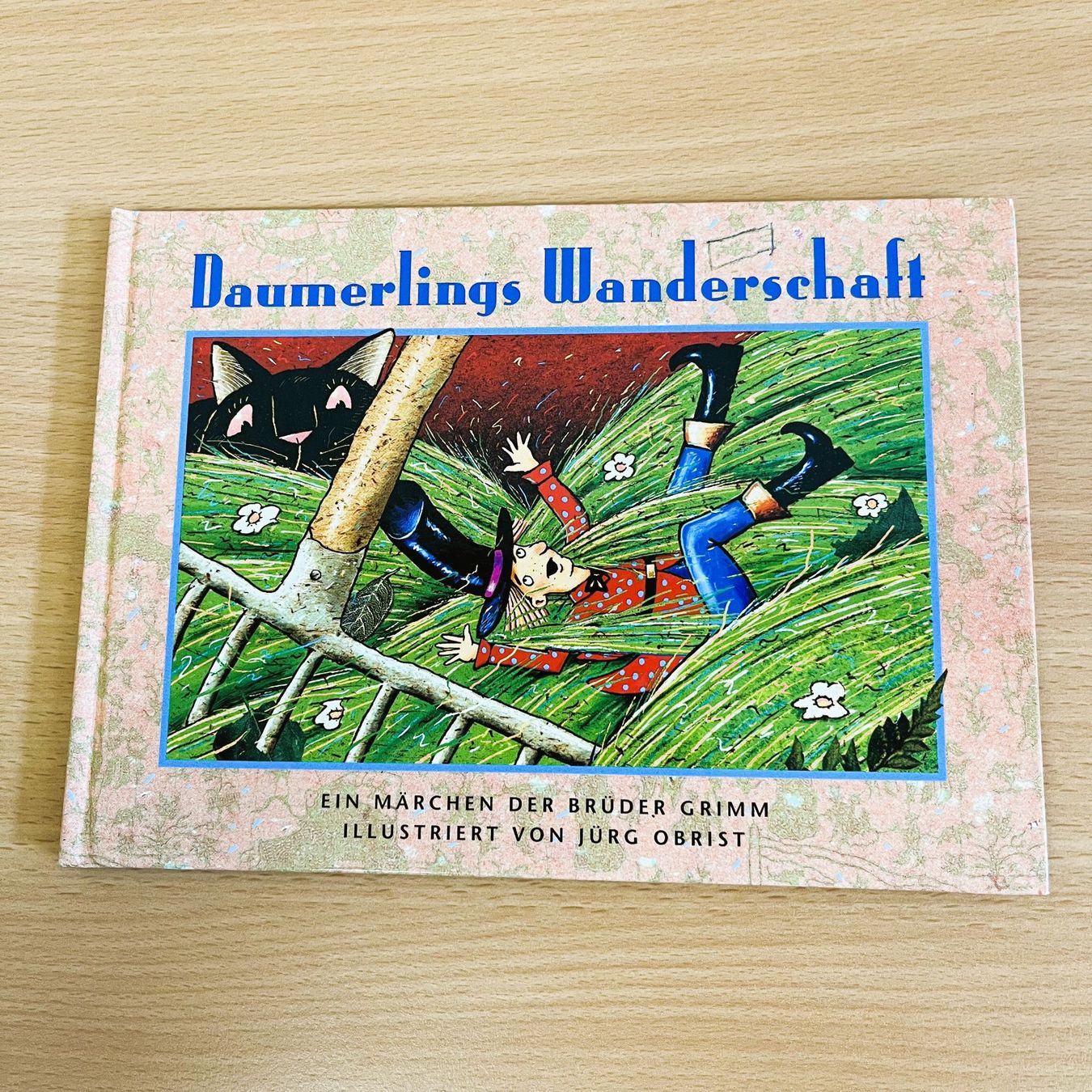 Libri: Daumerlings Wanderschaft – Usato da Amlikon-Bissegg venduto da riestig