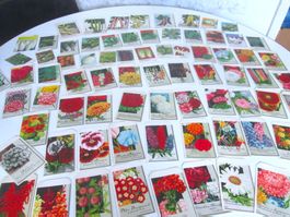 Rarität: 74 alte Umschlag Blumen und Gemüse