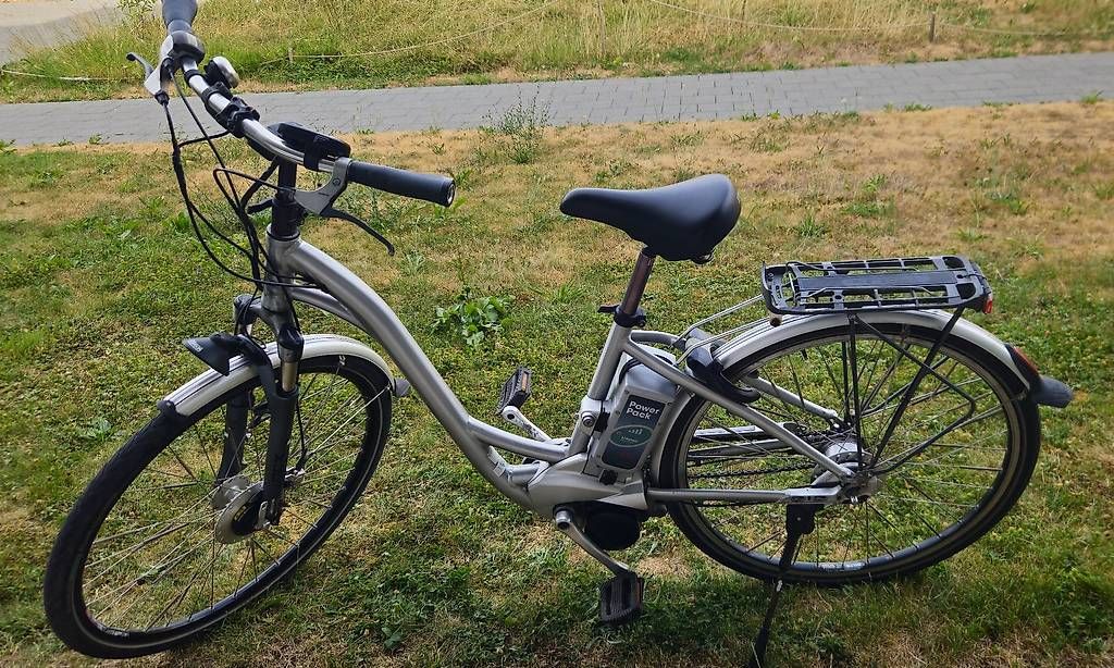 Flyer Velos: E-Bike Flyer C6 – Gebraucht aus Bern von dom_ph6c