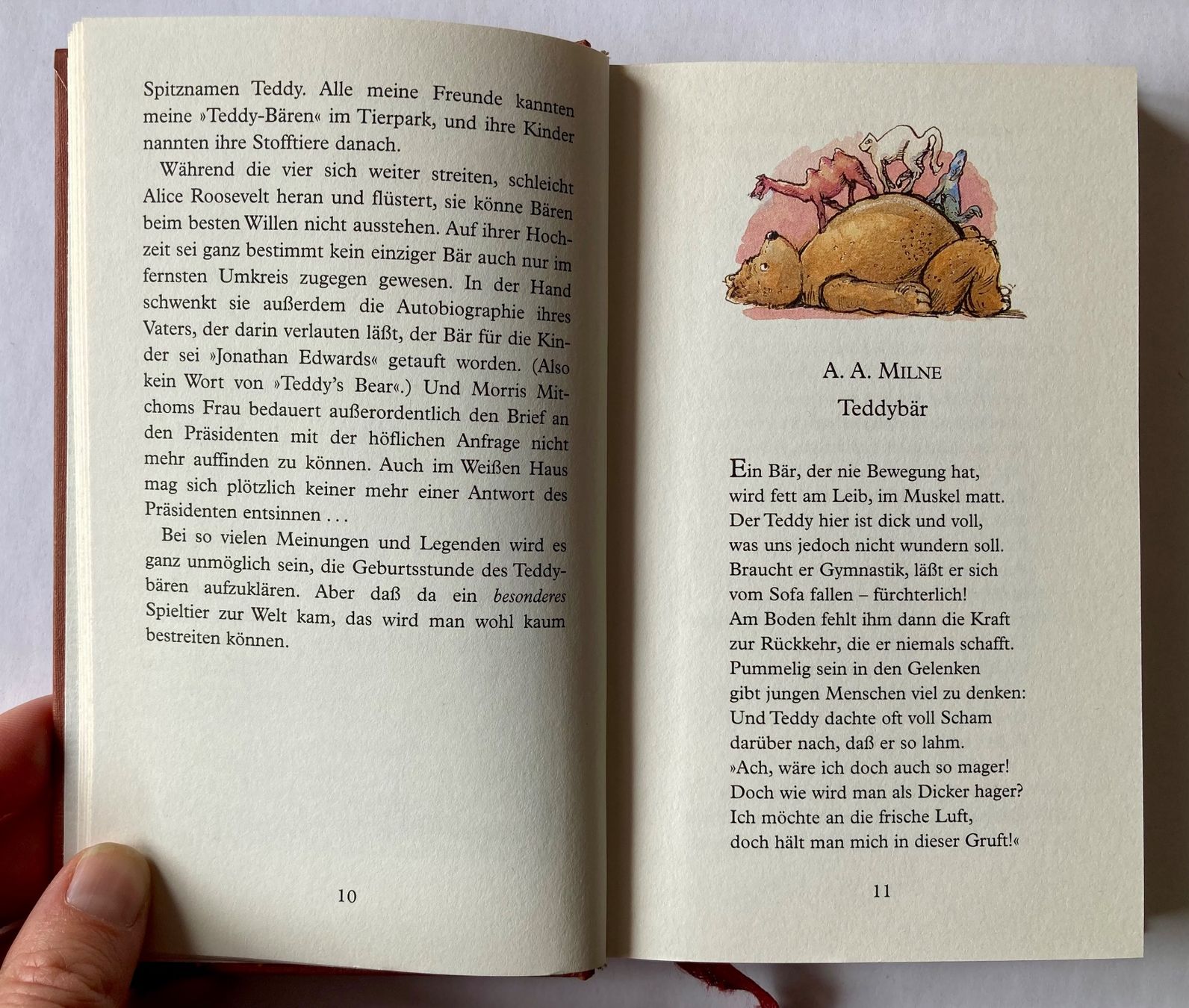 Bücher: Das kleine Teddybuch – Neu (gemäss Beschreibung) aus Bubendorf von Alpenheidi 6