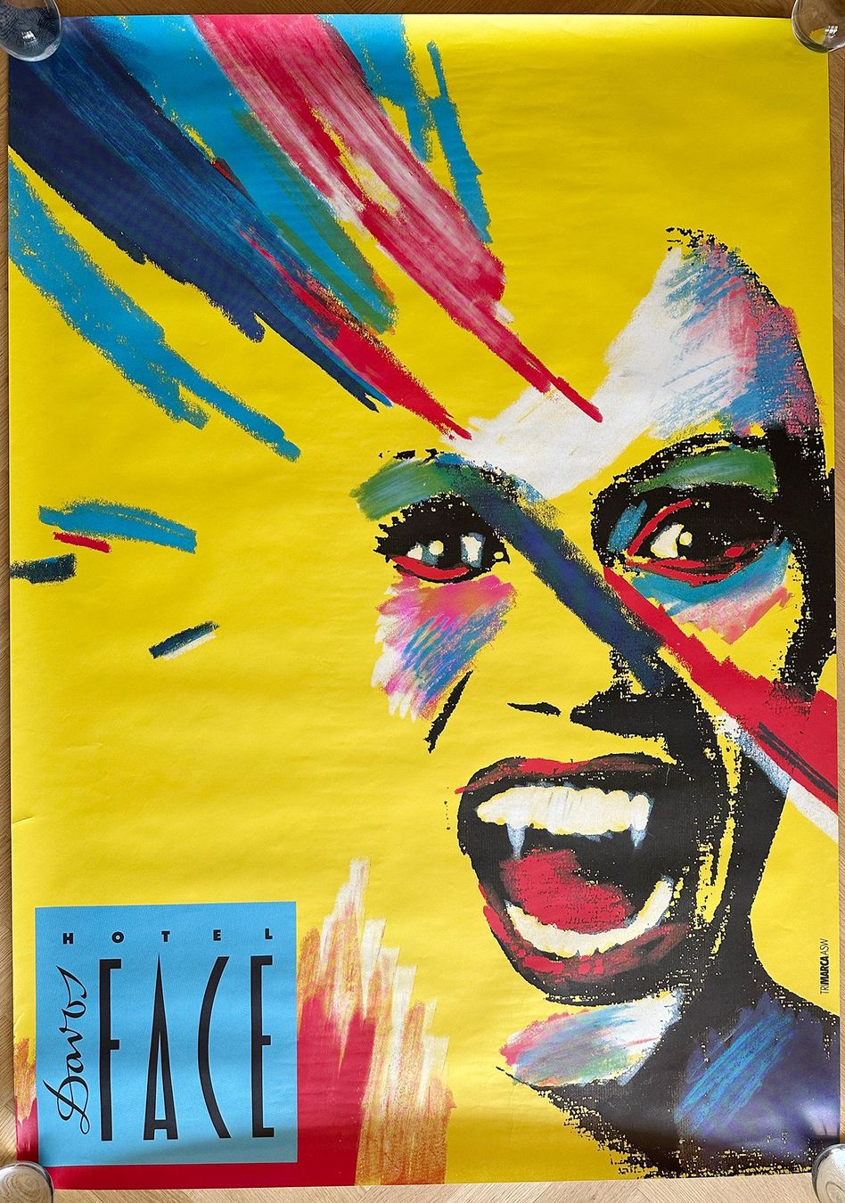 Foto & Immagini: Poster Plakat Hotel Face Davos – Usato da Lützelflüh-Goldb venduto da fluidum