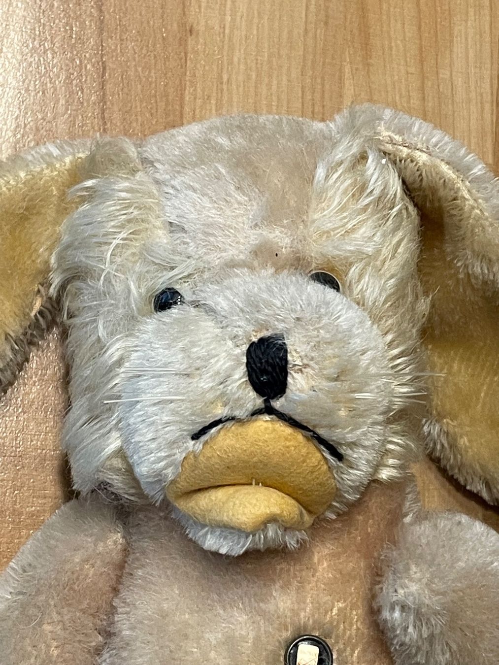 Giocattoli: altes Plüschtier Hund von Grisly – Usato da Rümlang venduto da euqinom16 3