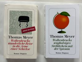 Wolkenbruch Romane, Thomas Meyer