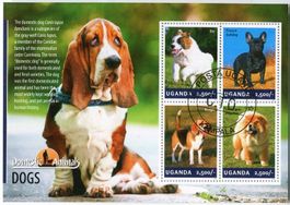 Block Hunde. Uganda