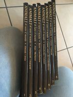 Animali 8 libri (8 Bücher Tiere) Italienisch