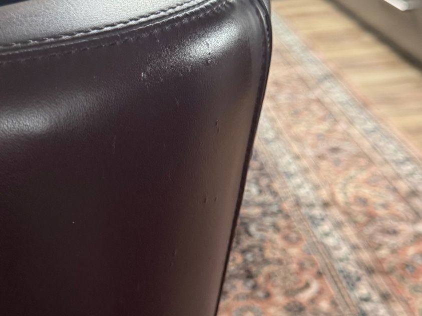 Vitra Sofas: Sofa Vitra Suita Club – Gebraucht aus Zürich von mic_b8sx 5