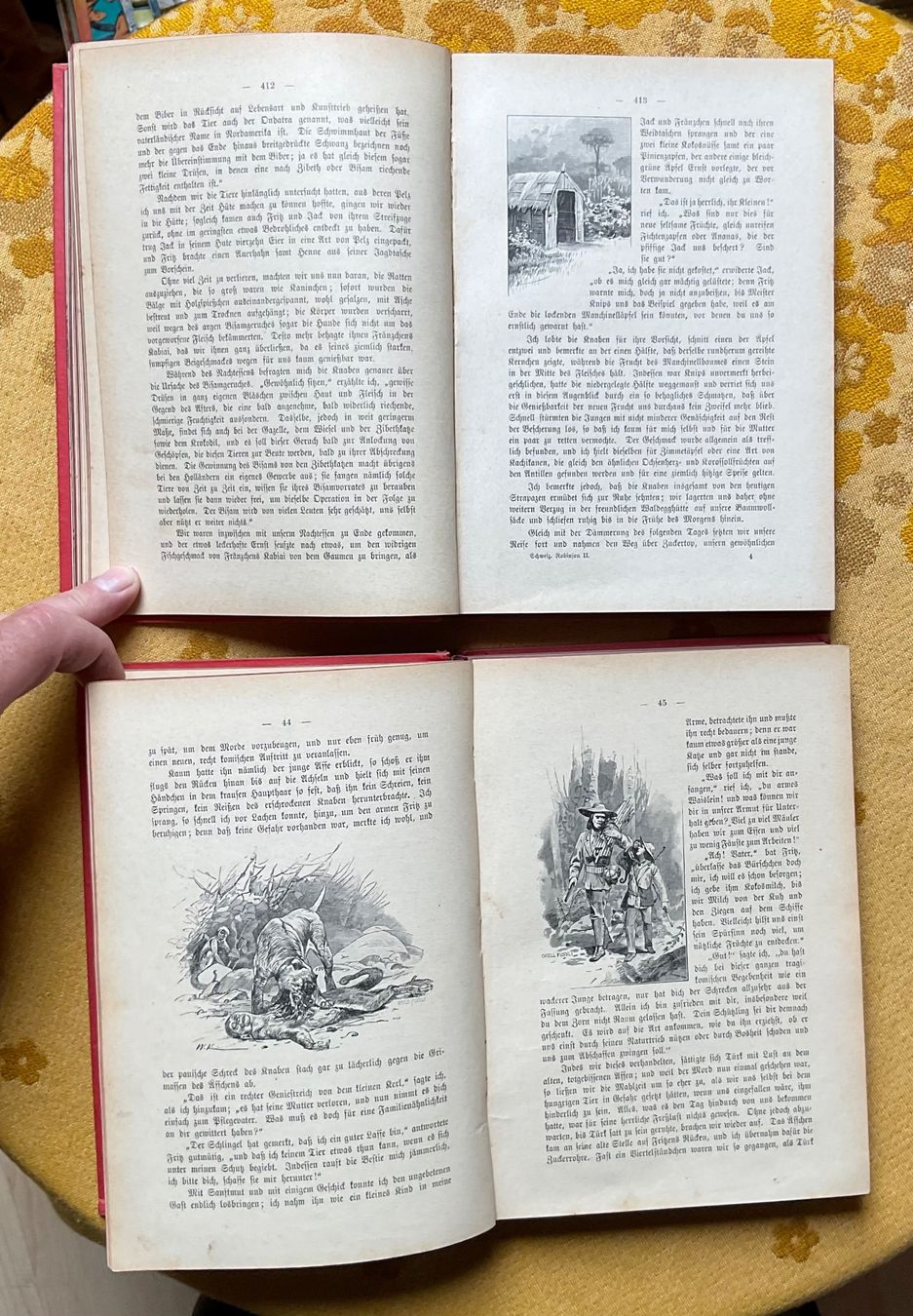 Libri: 2 Bücher Der Schweizerische Robinson von 1895 – Usato da Endingen venduto da nathan05 6