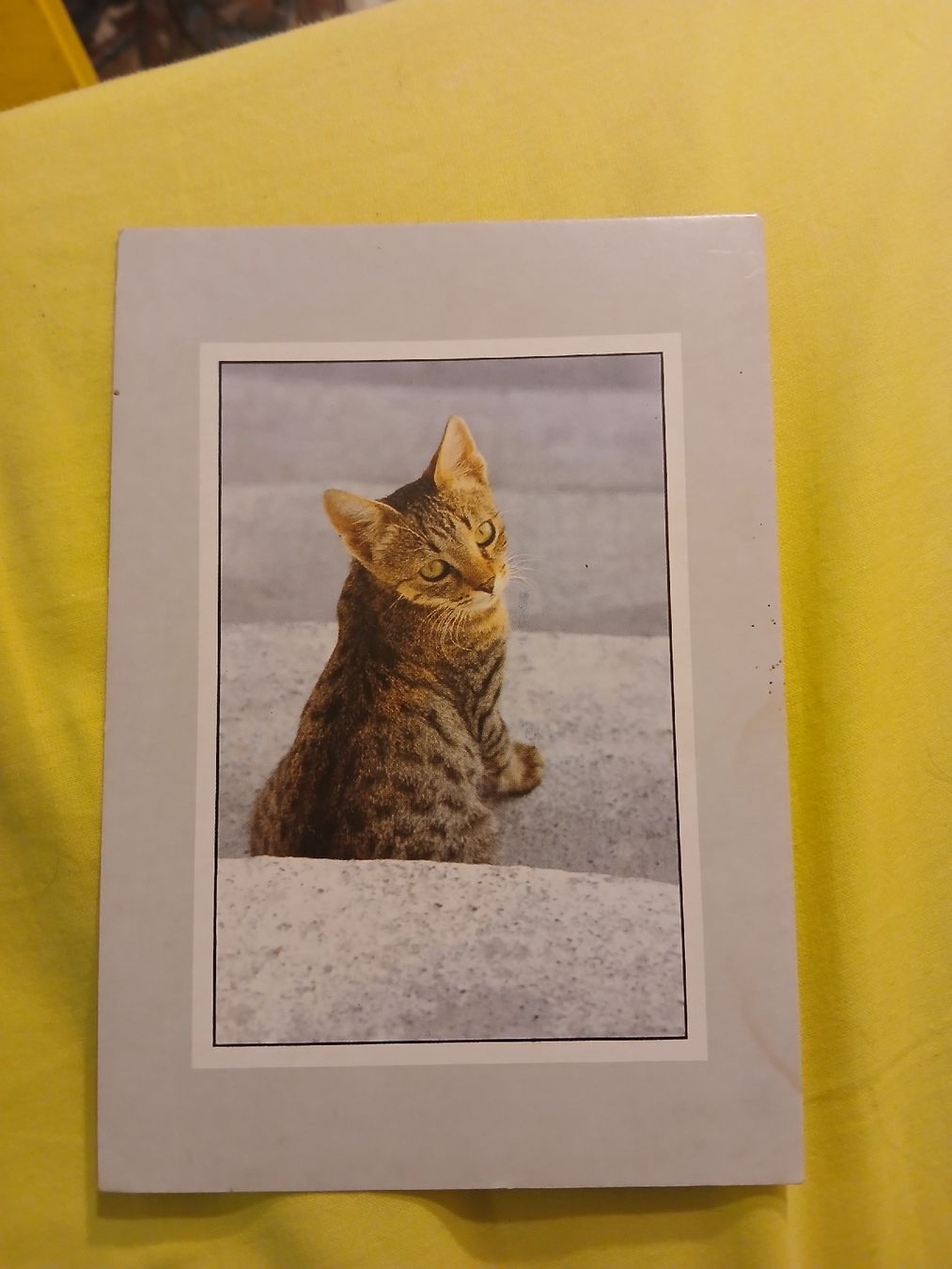 Tutti i francobolli: Carte postale vintage de Grèce - Chat mignon, 1987 – Usato da Marly venduto da globetrotter1723 1