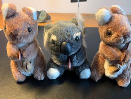 Plüschtiere Australien Känguru und Koala