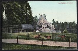 AK St. Gallen, Wildpark mit Rehen, 1908