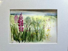 Original Aquarell Sommerwiese, verkaufe  ohne Passpartout