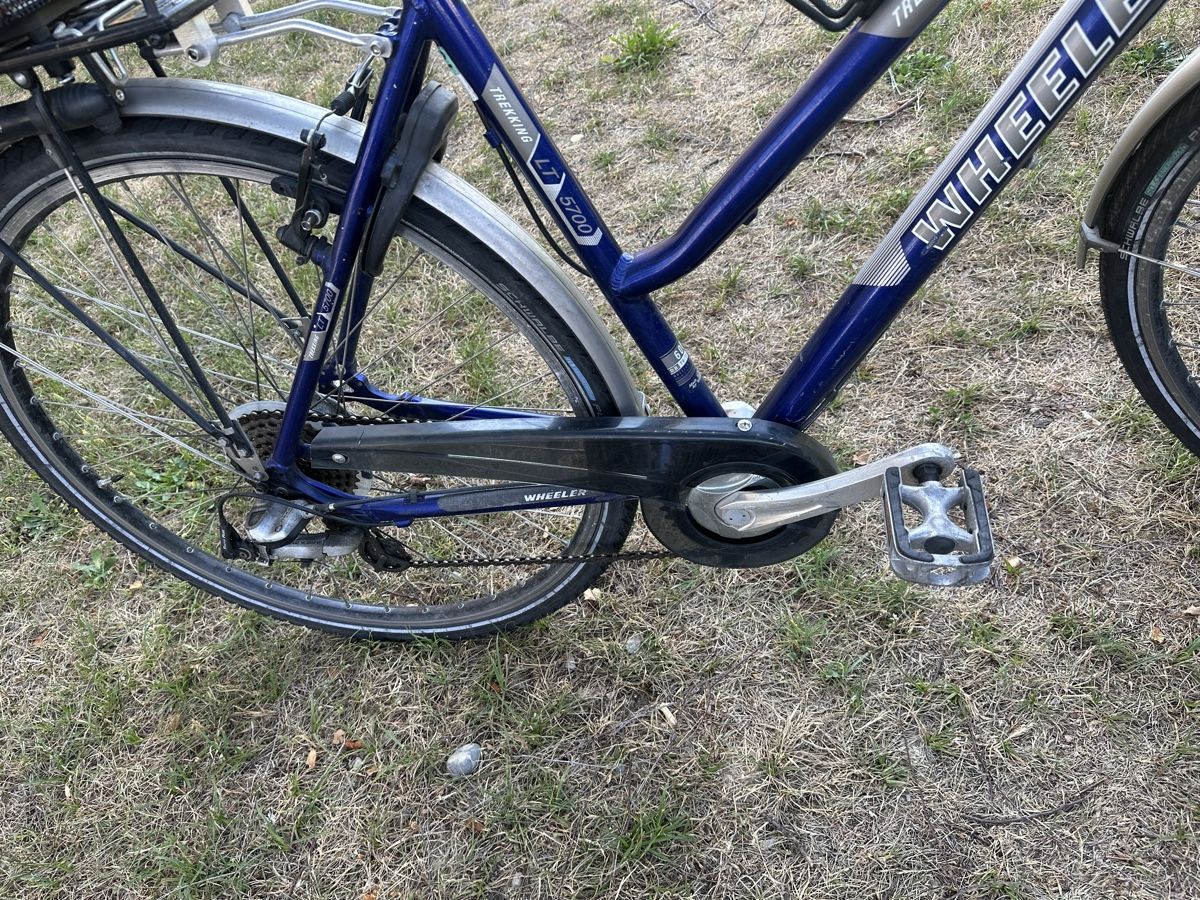 Wheeler Velos: WHEELER Velo – Gebraucht aus Uster von bek_v2ct 4