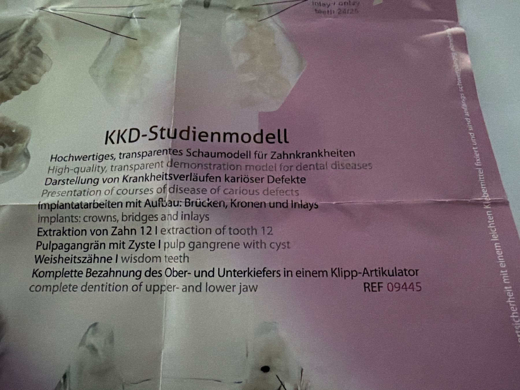 Soins dentaires: KKD Studien Modell REF 9445 Zahnmodel – Neuf avec emballage d'origine à Uster par oranger_pulli 9