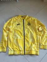 Borussia Dortmund Jacke Gelb M Puma