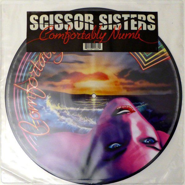 Scissor Sisters, Comfortably Numb Picture Disc Pink Floyd Kaufen