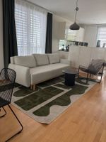 Schlafsofa grau