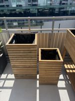 Pflanzensäule 2er Set - Tchibo (Tinus) - gebraucht