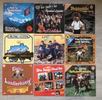 LP Sammlung Vinyl Langspielplatten (9