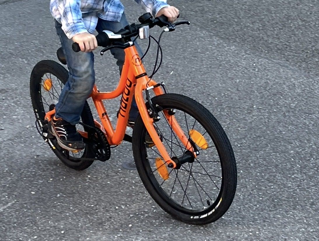 Naloo Biciclette: Naloo Kinder Velo 20 Zoll – Usato da Tegerfelden venduto da RamonaG86 1