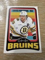 Eishockey Sammelkarte David Pastrnak Boston Bruins