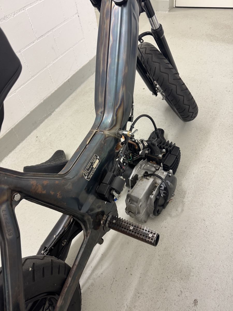 Puch Mofas: Puch Maxi N Custom Umbau – Gebraucht aus Bürglen TG von Serzenia 3