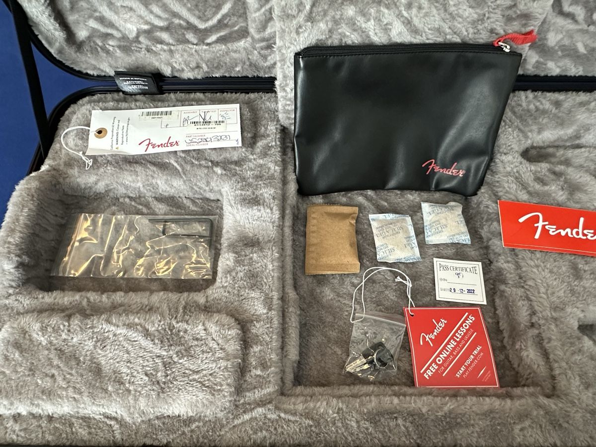 Fender Strumenti musicali: Fender Stratocaster American Professional II HSS – Usato da Goldau venduto da thiilaak 9