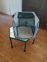 Hundeboxe
