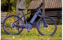 E Mountainbike 48v 115nm NEU